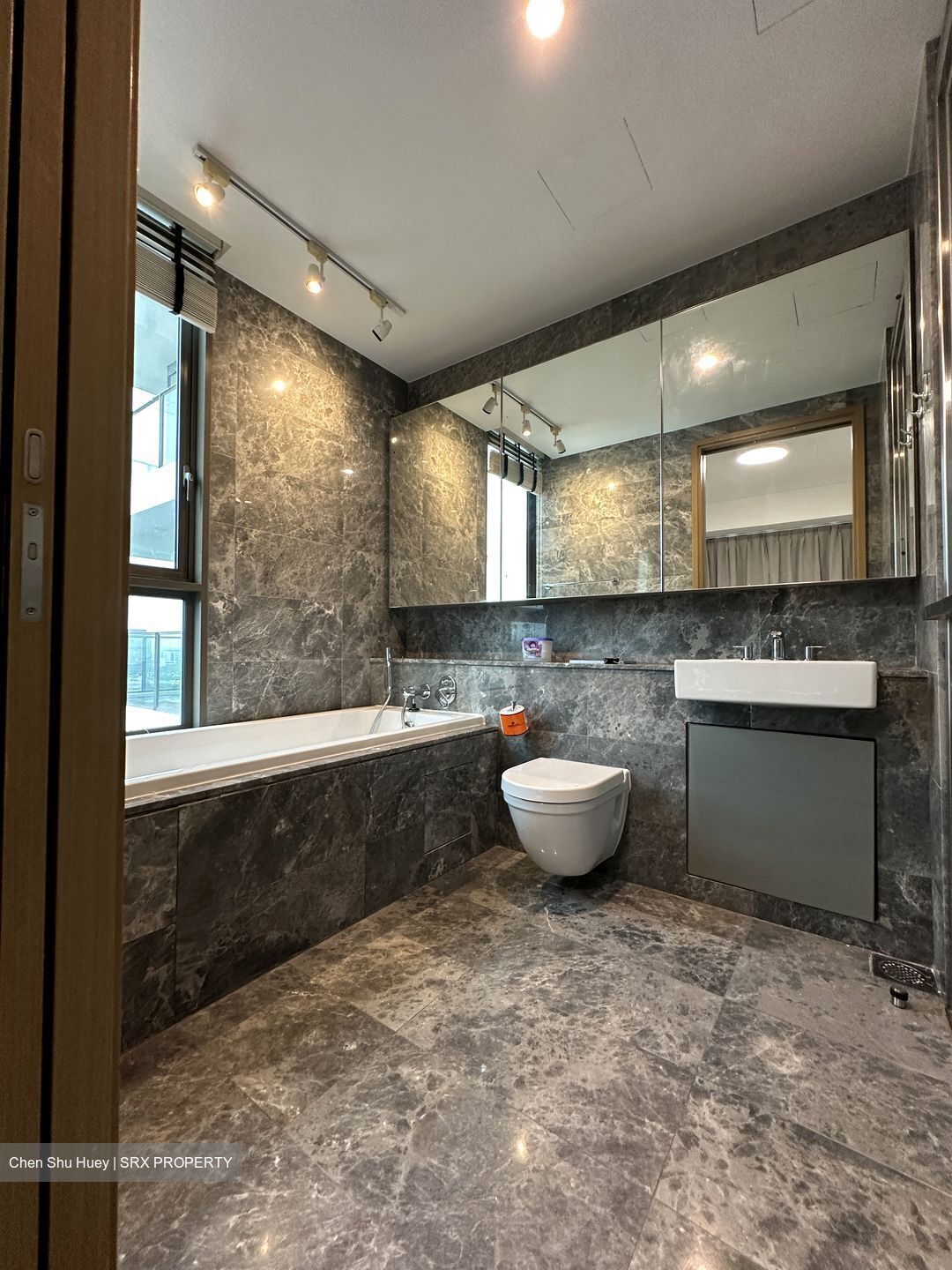 Skyline Residences (D4), Condominium #506462951